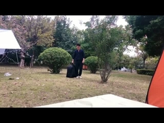 6L Газовый Гейзер LP Газовый Tankless Мгновенное отопление водонагреватель Душ