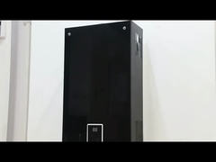 10L 2,6GPM водонагреватель Черная панель покрытия LPG NG Газовый тип