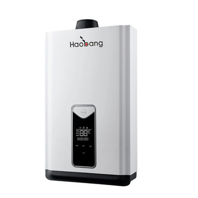 12L 220V Balanced Type Flue Gas Water Heater with 0.025-1.0MPa Pressure Range